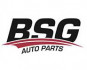 Логотип BSG