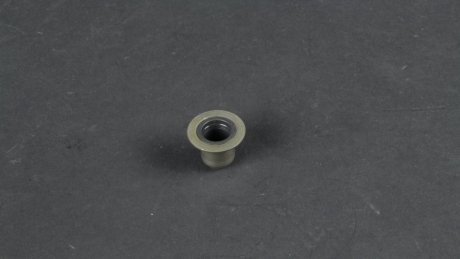 Сальник клапанов, (1шт.) 2.0-2.4DI AJUSA 12018500 (фото 1)