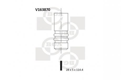 Впускной клапан BGA V163870 (фото 1)