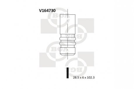Впускной клапан BGA V164730 (фото 1)