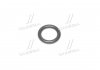 Уплотнительное кольцо форсунки (пр-во BOSCH) 1280210810