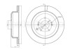 CIFAM HYUNDAI Гальмівний диск задній ix55 3.0/3.8 08-12 800-1702C