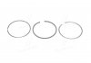 Кільця поршневі, комплект на 1 циліндр FIAT Bravo,Doblo,Marea 1,9JTD 98- KOLBENSCHMIDT 80 00502 1 0 000 (фото 1)
