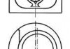 Поршень KOLBENSCHMIDT 93876610 (фото 1)