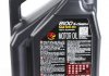 Масло моторне 8100 X-Clean+ 5W-30 (5 л) MOTUL 854751 (фото 2)