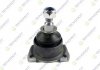 TEKNOROT BMW Шаровая опора короткая E36 316i-325i 11/90- B-305