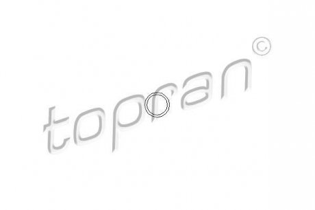 Елемент вприскування Monopoint TOPRAN / HANS PRIES 100 678 (фото 1)