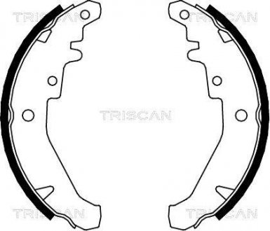 Комплект гальмівних колодок TRISCAN 810015026