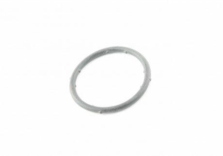 Уплотнительное кольцо термостата, 1.7SDI/1.9TDI 95-04 VAG 037 121 687 (фото 1)