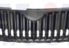Решетка радиатора пластиковая VAG 3T0853668A (фото 2)