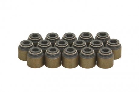 Комплект сальників клапанів VICTOR REINZ 12-10031-01