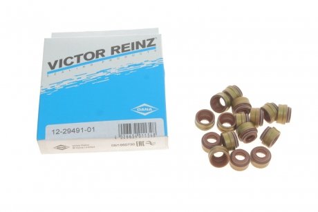 Комплект сальників клапану MB VICTOR REINZ 12-29491-01 (фото 1)