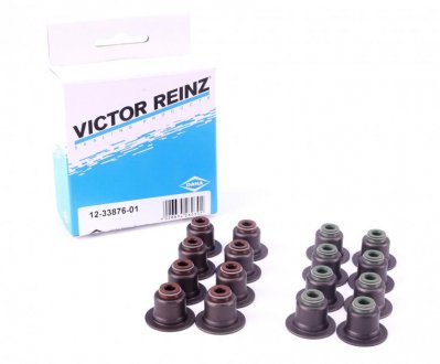 Комплект сальників клапанів VICTOR REINZ 12-33876-01 (фото 1)