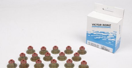 Комплект прокладок, стрижень клапана VICTOR REINZ 12-38209-02 (фото 1)