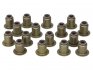 Комплект сальників клапанів 12-38539-01